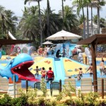 Beach Park recebe 280 crianças no Dia Nacional da Pessoa com Deficiência em Parques e Atrações Turísticas